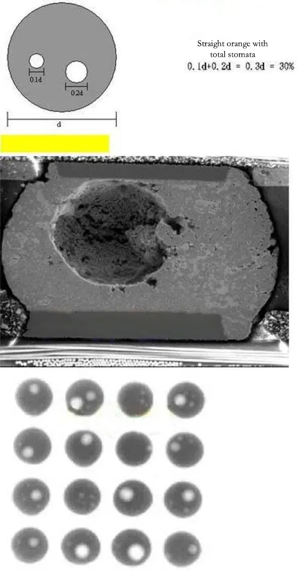 Fig12 Schematic diagram of BGA bubbles