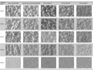 Table 3 SEM of the apparent morphology of RTF copper foil