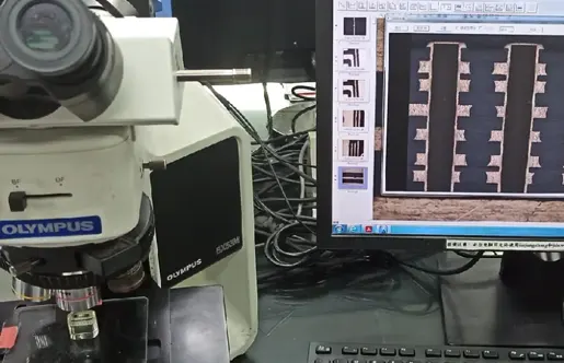 Microsection analysis